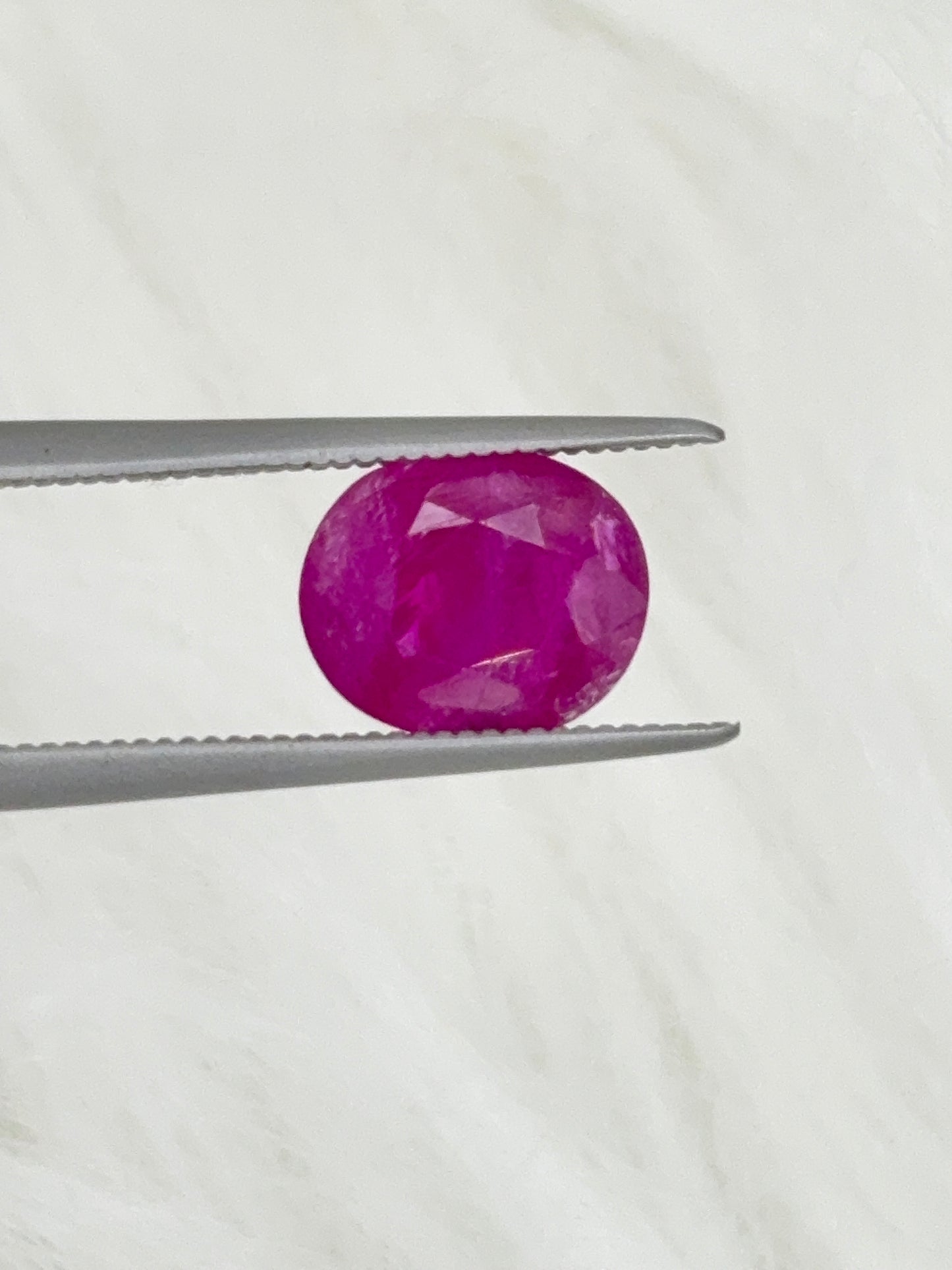 RUBY BURMESE GRS